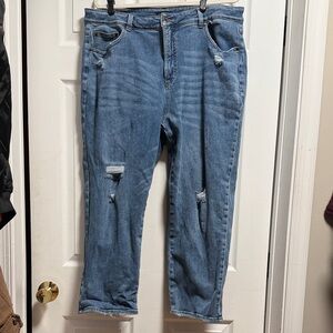 Universal Standard Blue Distressed Boyfriend Jeans